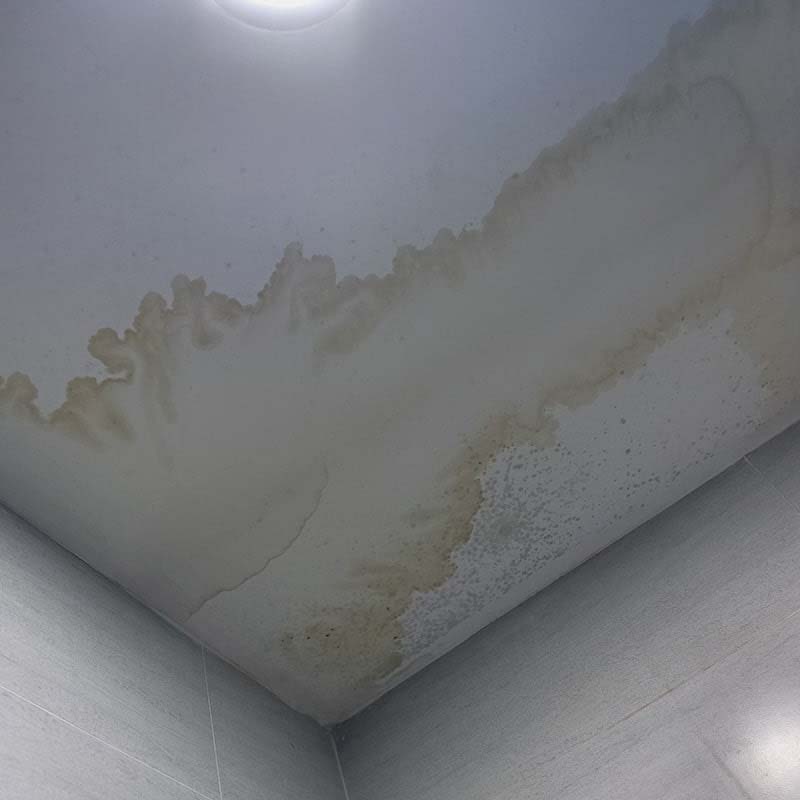 Image showcasing pipe leak detection and repair services offered by Kingstree Plumbing in Edmonton. Highlighting expert techniques and equipment used to locate and fix pipe leaks. Contact Kingstree Plumbing in Edmonton for reliable solutions to your plumbing leak issues.